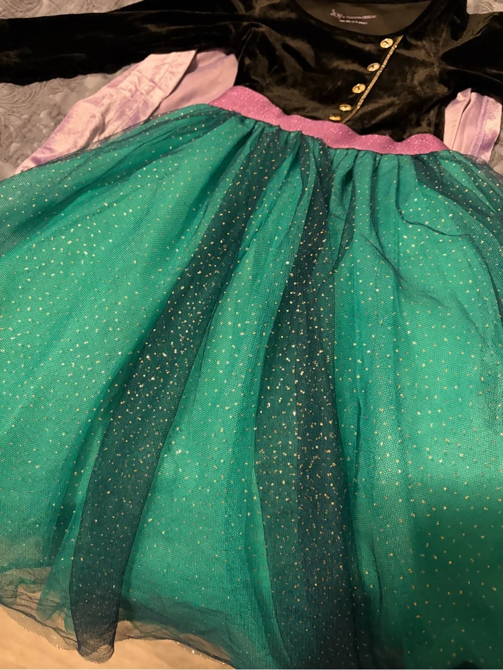 FROZEN Princess Ana Dress- Joy by Teresita Orillac